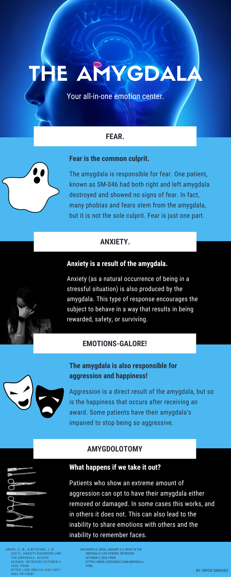 Blue, black, and white psychology infographic describing how fear, anxiety, anger, and happiness are produced through the amygdala's chemical responses to the human environment